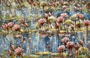 Water Lilies